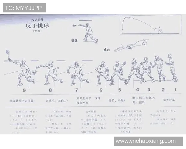 羽毛球专题：深入探讨北京羽毛球队的速度与技巧训练之路