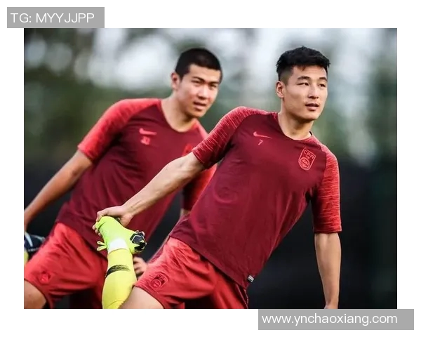 广州排球队灵活性引发热议球迷与专家各执己见探讨战术调整