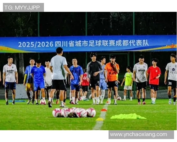 成都足球队技术争议引发热议球迷与专家观点交锋分析