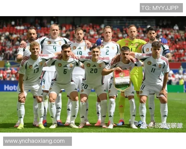 瑞士足球明星在欧洲杯的辉煌历程与精彩瞬间回顾